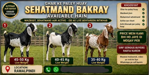 Bakre Qurbani ke liye ghar ke Paley huwe for sale