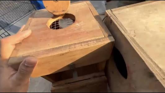 wooden boxes kikker wood