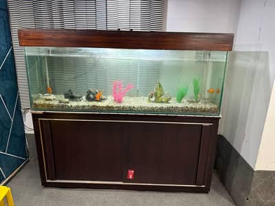 Aquarium Wanter Tank with Wooden Cabnet
