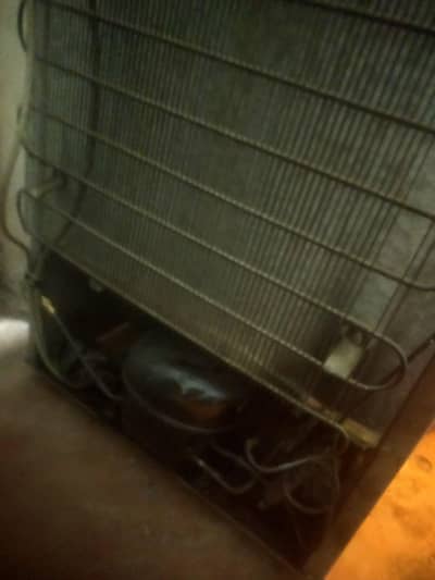 pel refrigerator