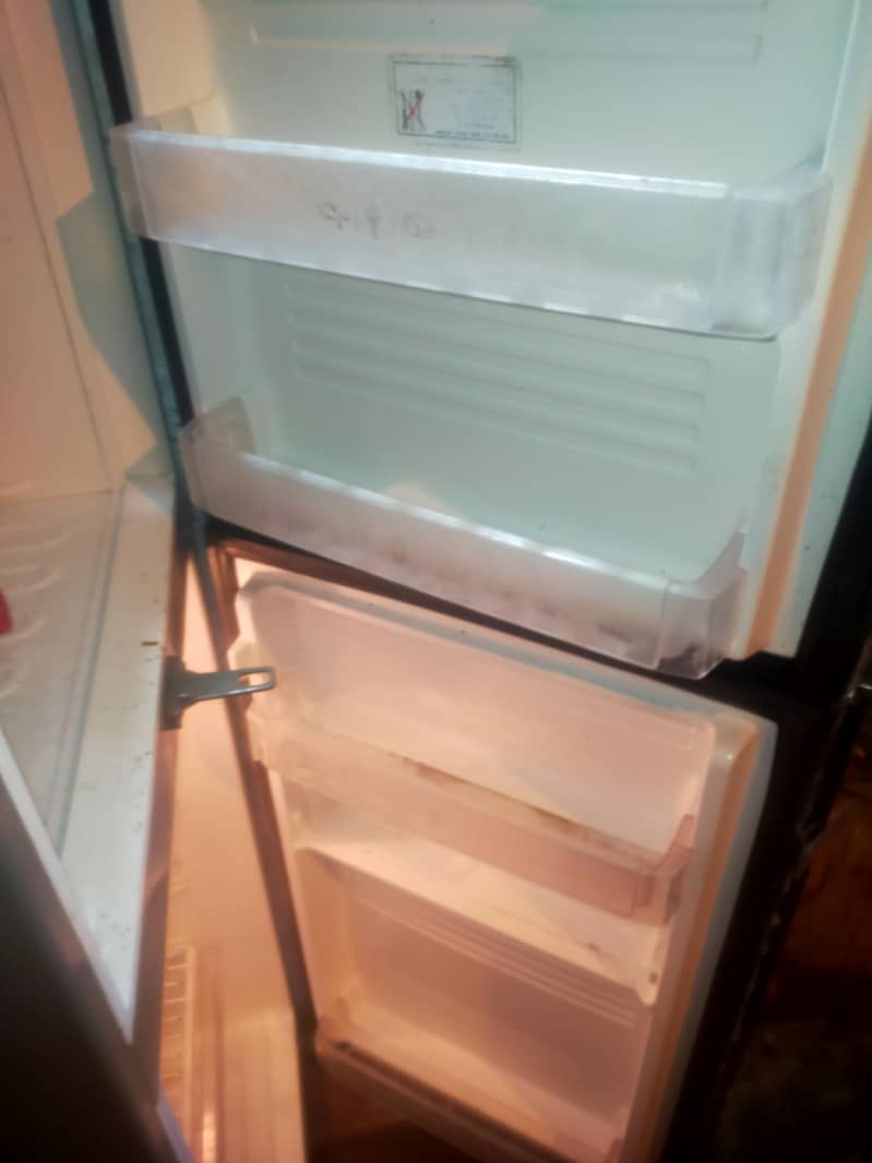 pel refrigerator 12