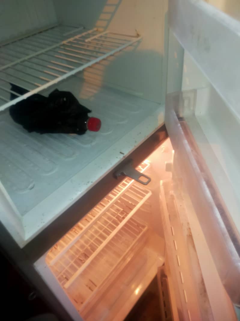 pel refrigerator 13