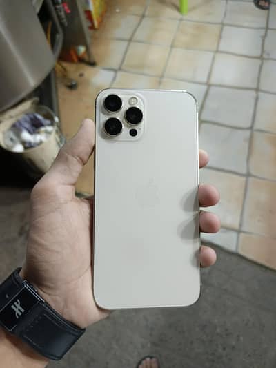 iPhone 12 Pro Max 256Gb F. U Waterpack