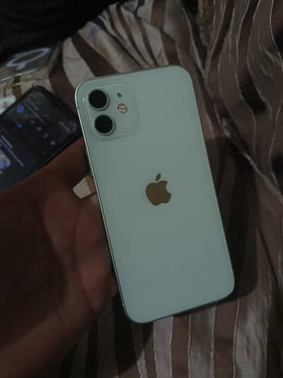 iPhone 12