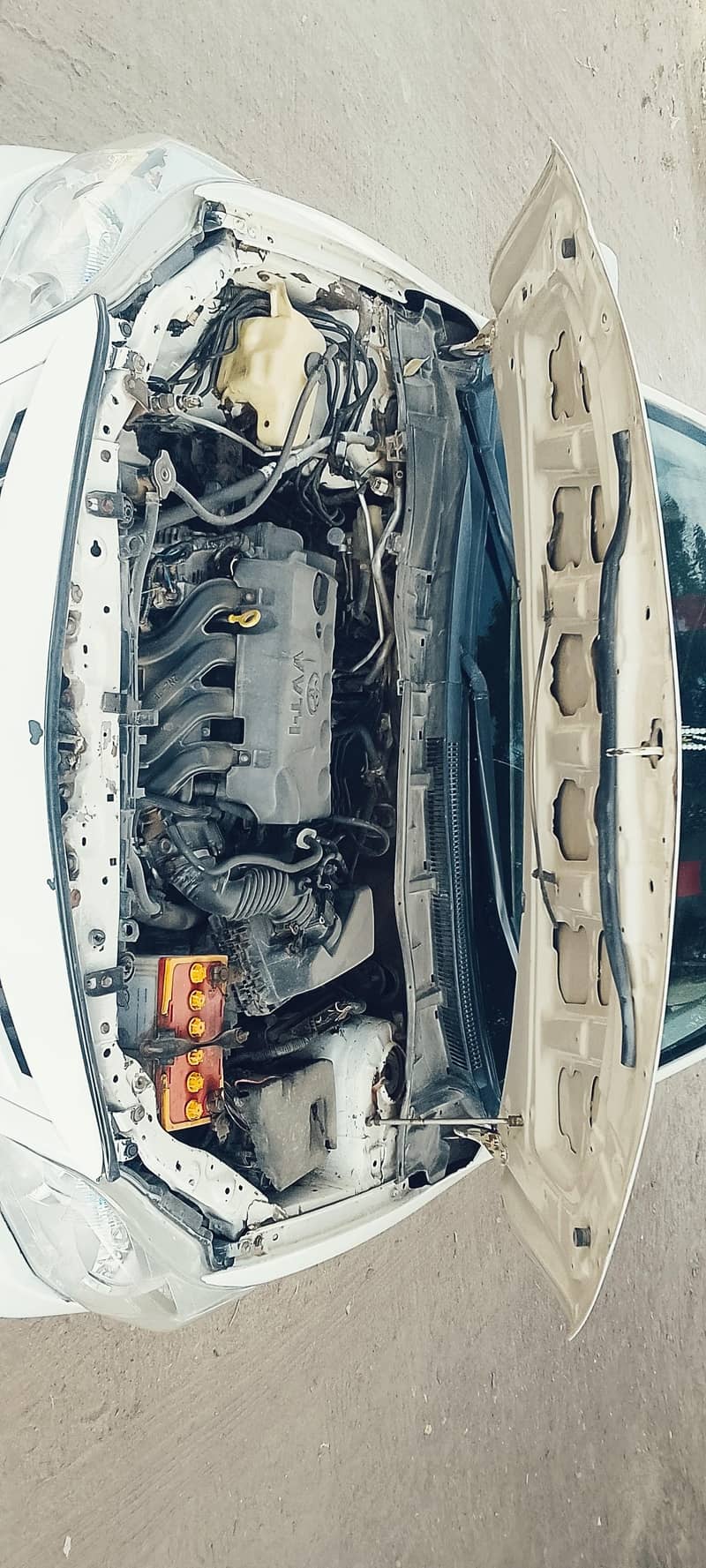 Corolla Xli 11