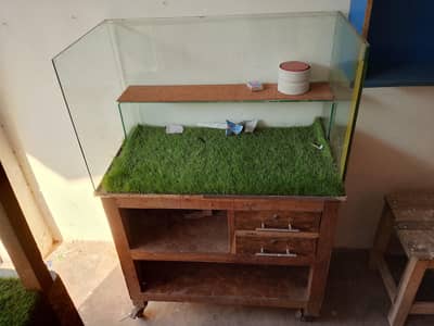 3 counter sale