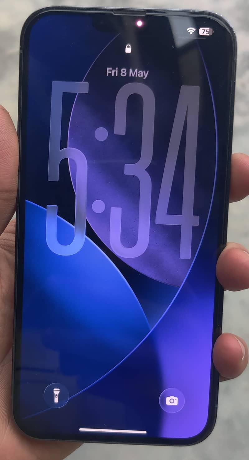 iphone 13 pro max 2