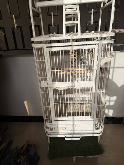 Indian Ring Neck Cage