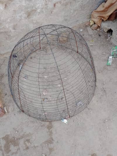 sargodha