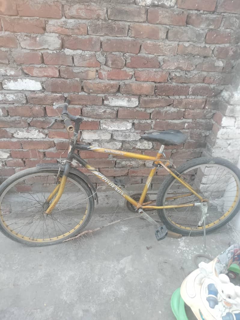 cycle 0