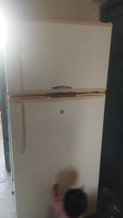 goncord coy double door fridge condation 9/10