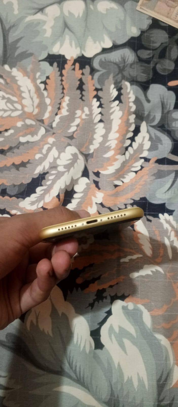 iphone 11 0