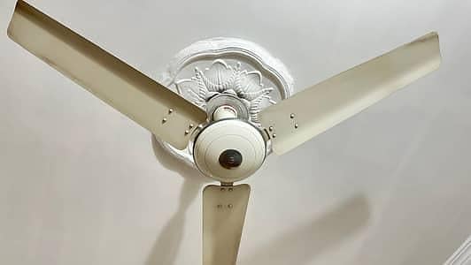 ceiling Fans 0