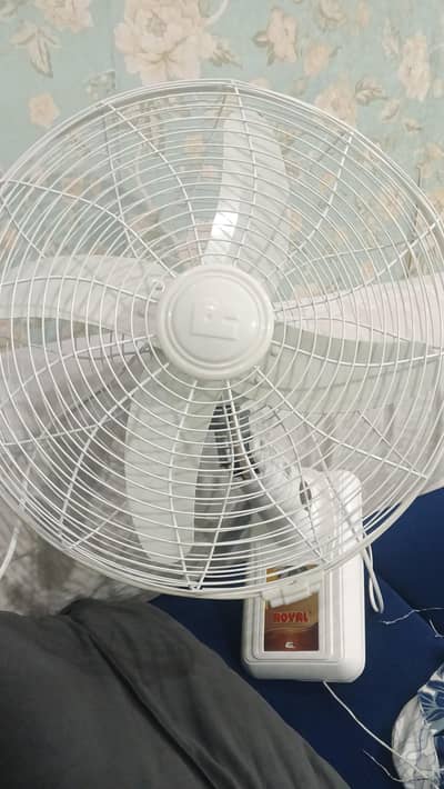 Royal Bracket Fan