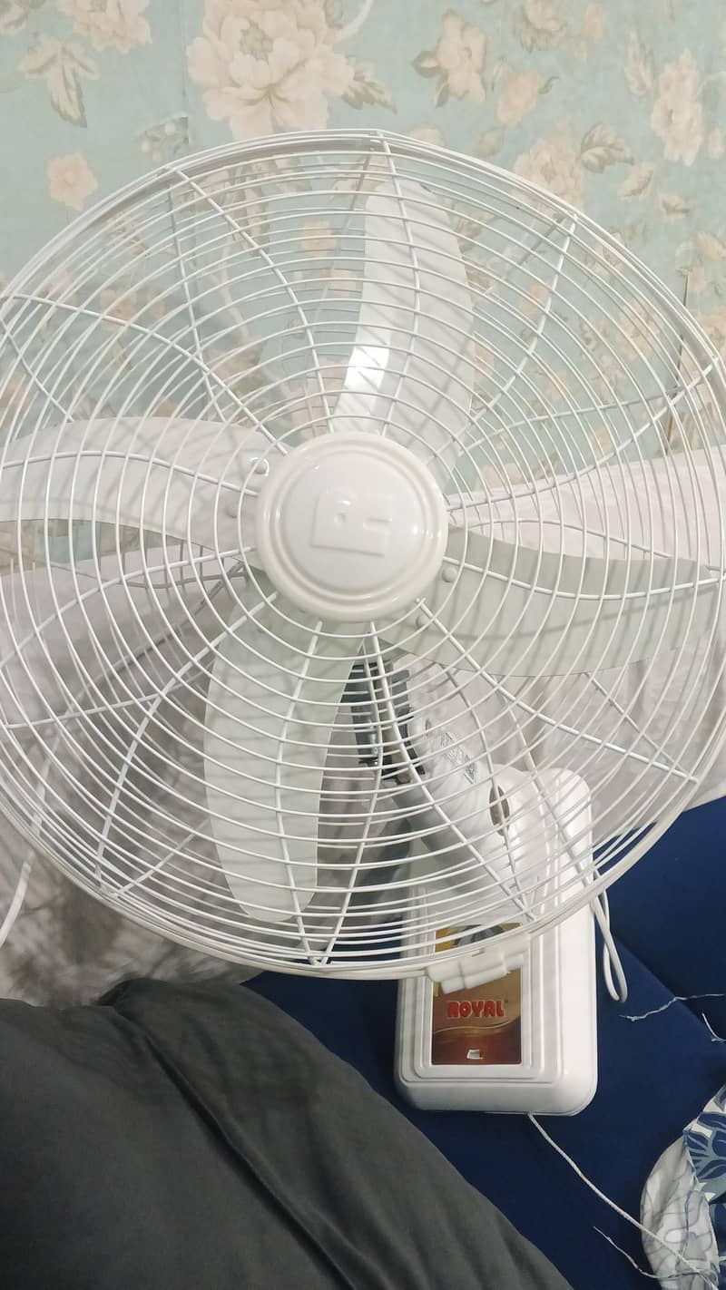 Royal Bracket Fan 0