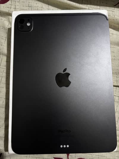 Ipad pro m4 11 inch 256gb