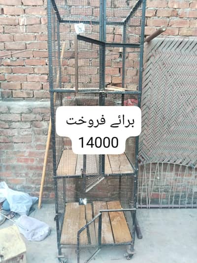 Bird/Hen cage