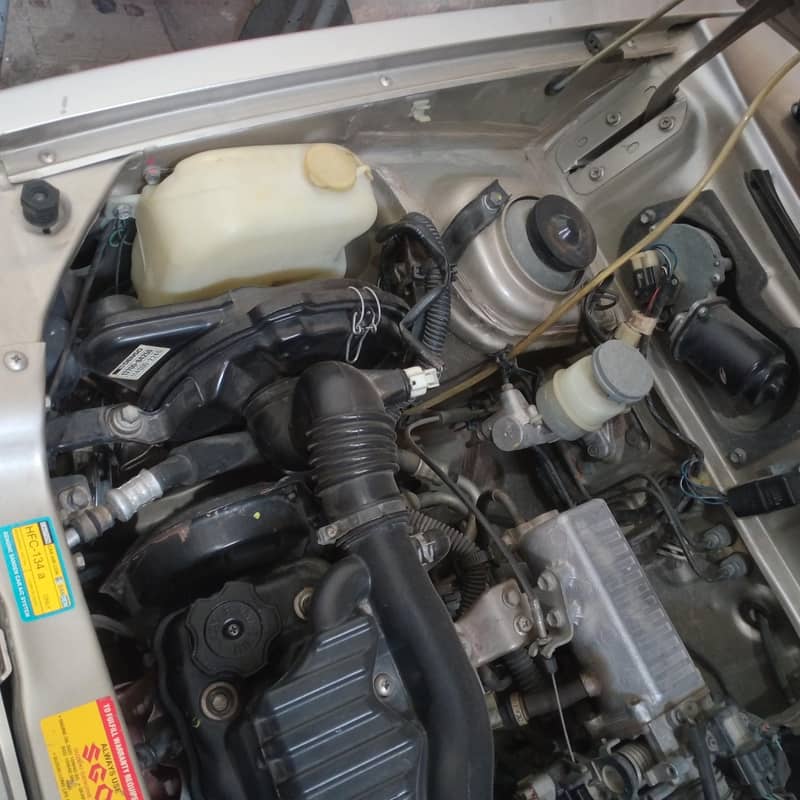 mehran 5