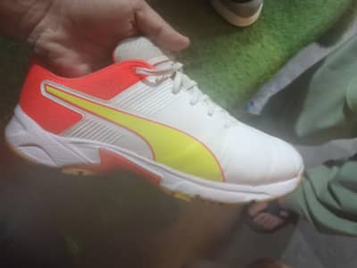 puma spikes
