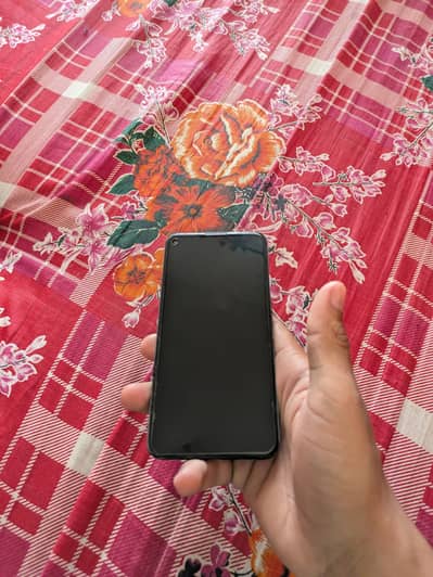 panil chang h