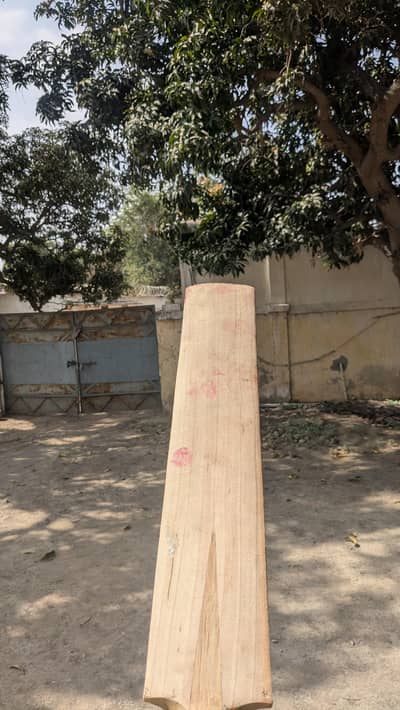 brand new English willow light weight hard Ball bat