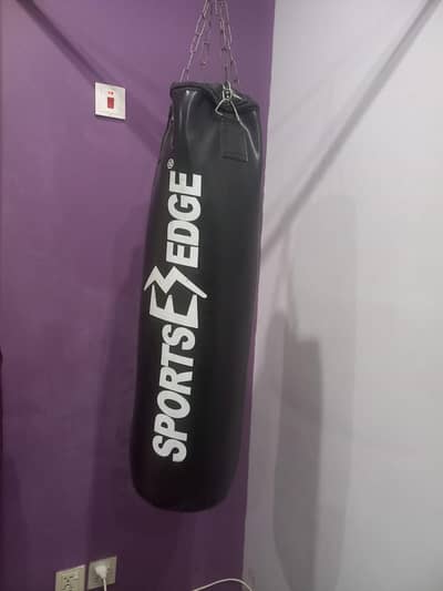 slighlty used good condition punching bag