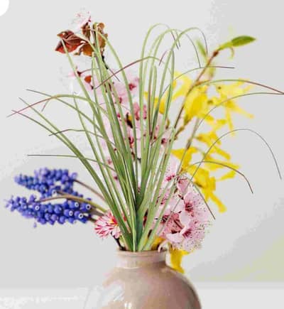 Artificial Plants/Flowers Discount offer