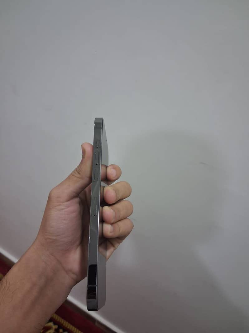 Iphone 12 Pro Max 1