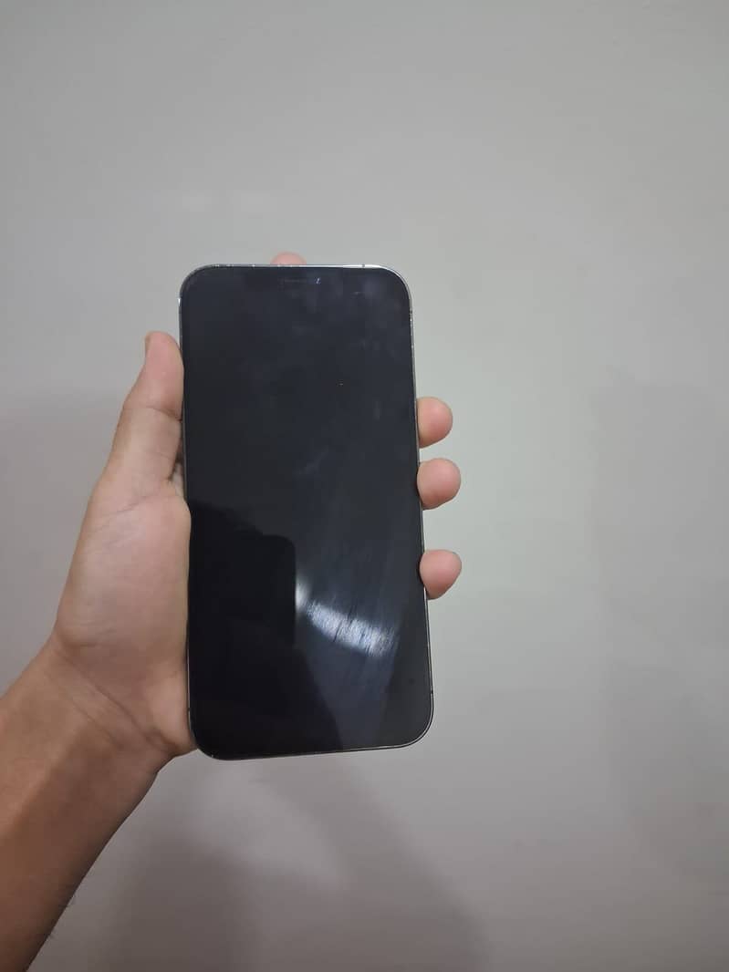 Iphone 12 Pro Max 3