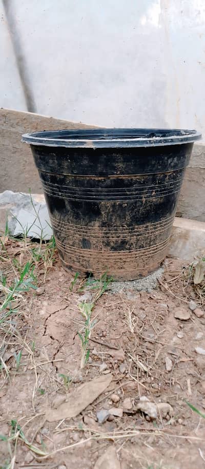 Garden Plastic Pots / Gamlay for Sale Rs 70