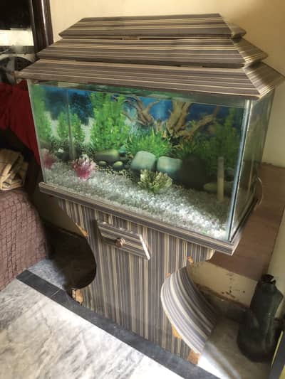 2.6 feet aquarium > Read add