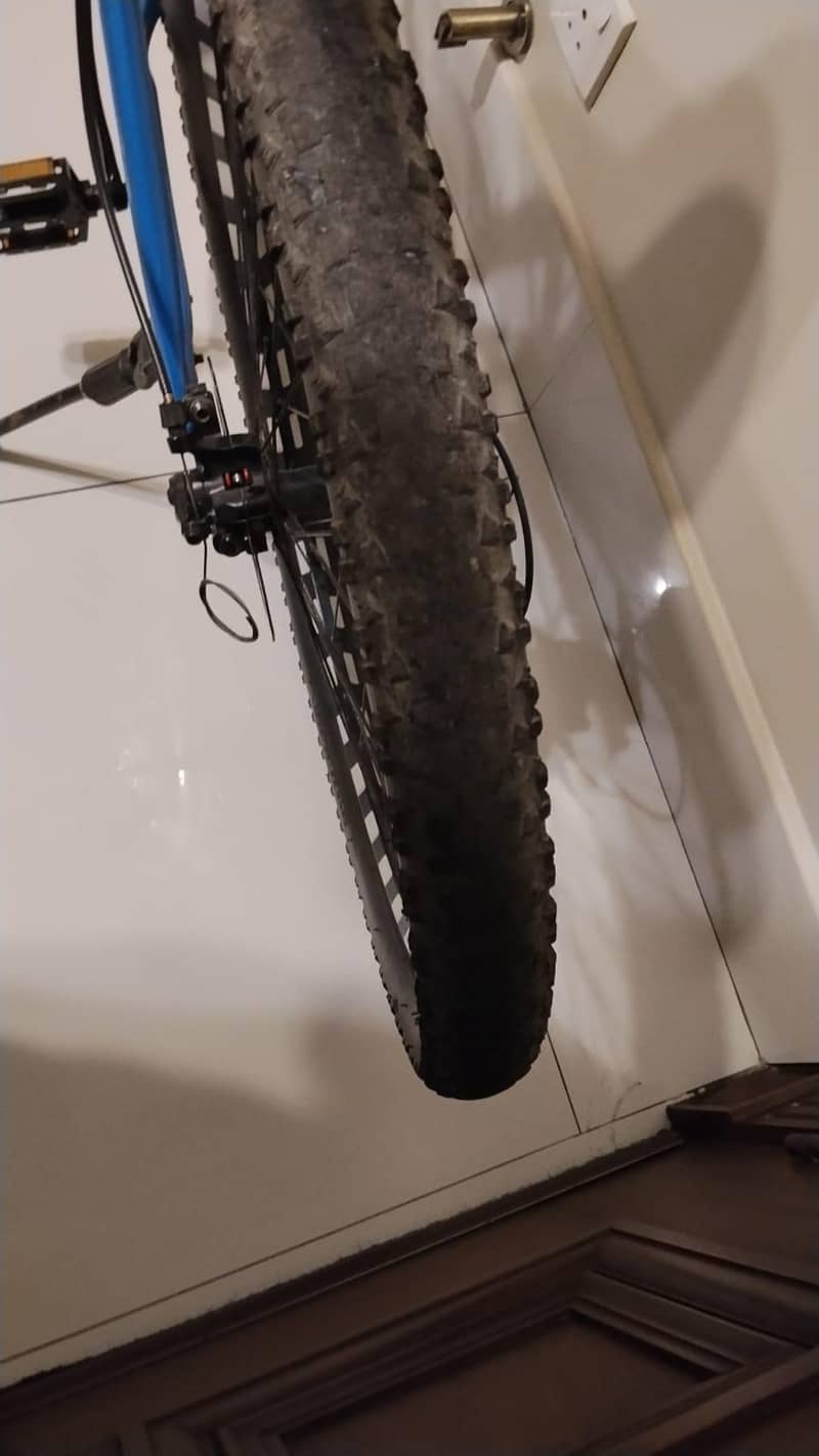 morgan cycle 4