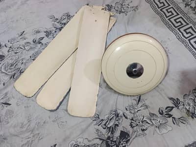 two old fan in good condition available for sale