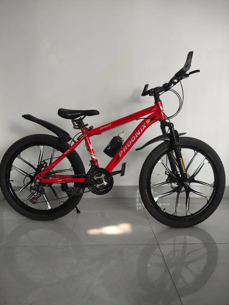 PHOONIX Bycycle 1