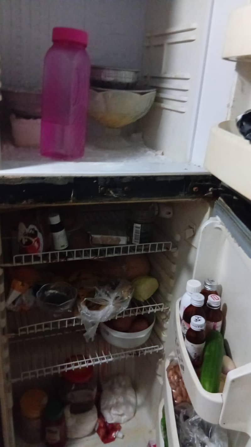 orient fridge. . 1
