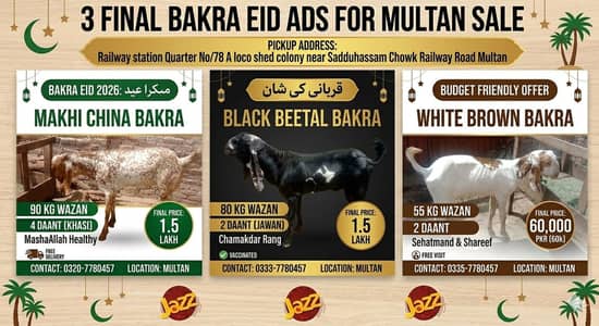 Heavy Weight Makhi China Bakra/Betal/White Brown Qurbani 2026 - Multan