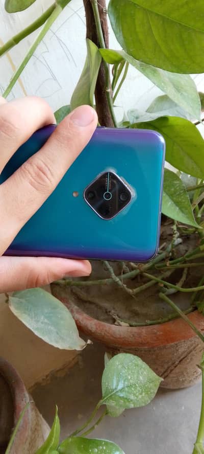 VIVO Y51