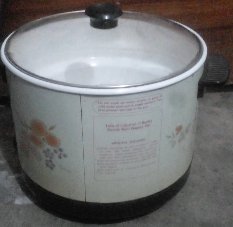 Electric - Multi purpose pan 0
