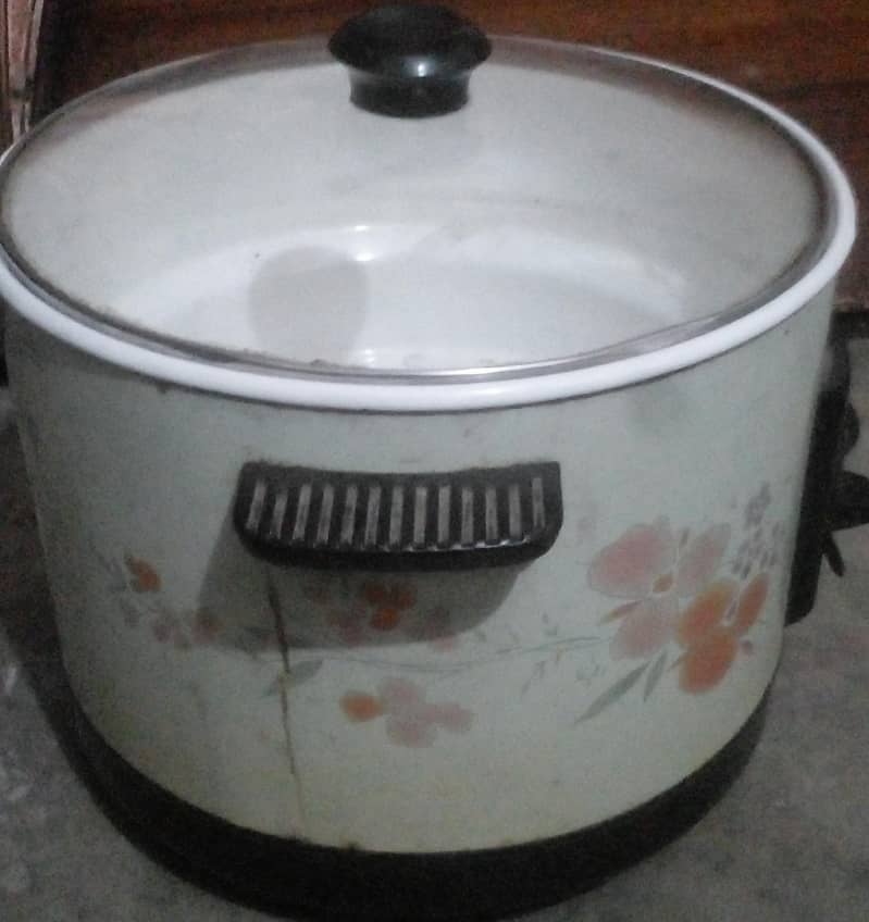 Electric - Multi purpose pan 1