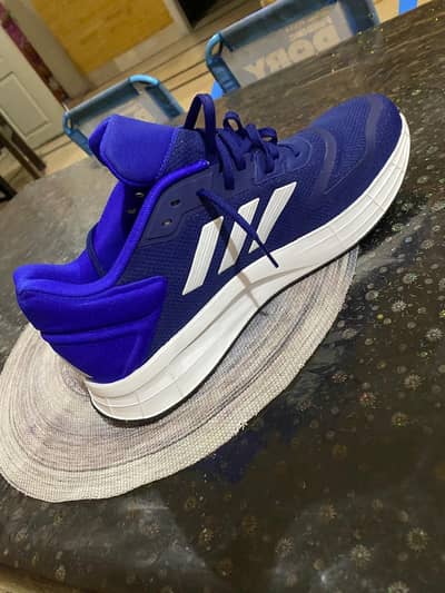 Adidas brand new shoes