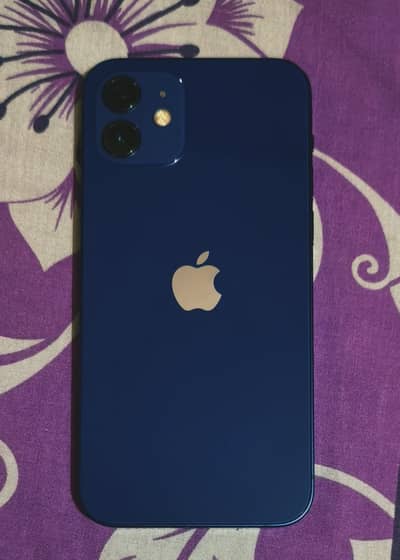 Apple iPhone 12