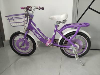 Baby bycycle