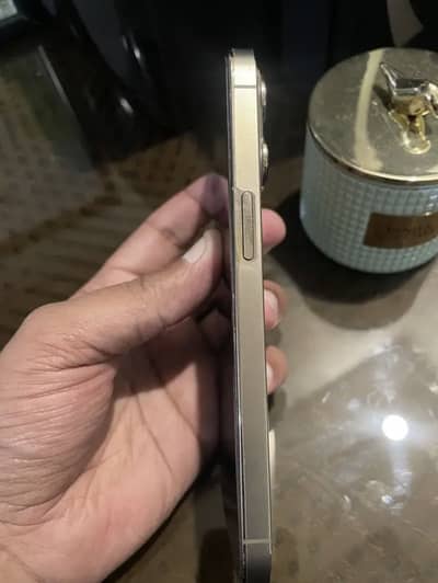 Iphone 13 pro pta Approved