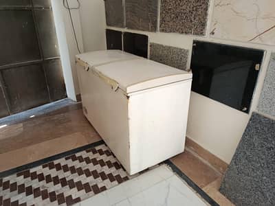 Waves 2 Door Deep Freezer