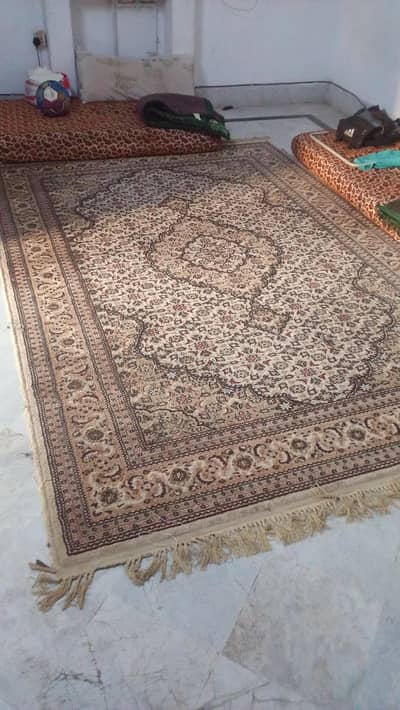 rug and carpet