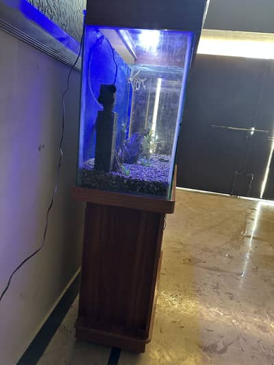 Fish Aquarium tank 3Feet