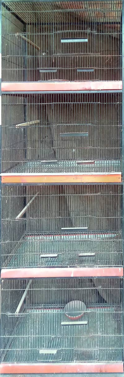 birds cage for sale