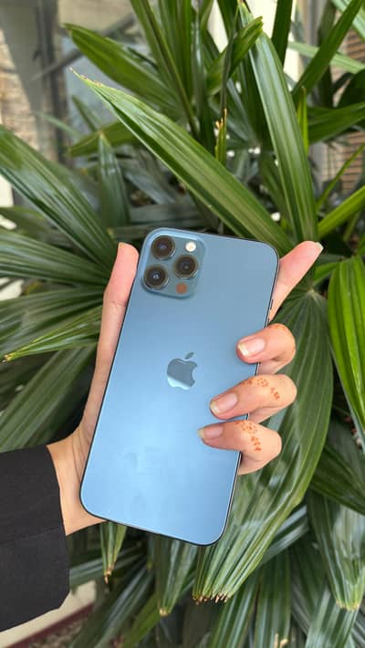 iphone 12 pro max 256 gb