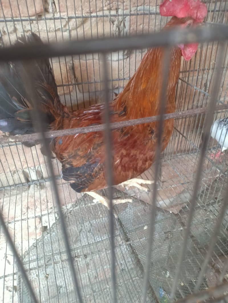 selling 2