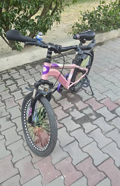 the bicycle